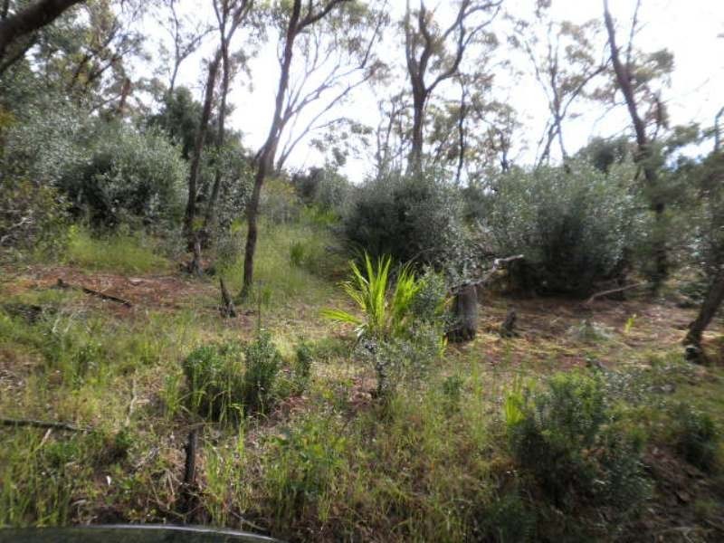 30  Chitunga Road, Eden Hills SA 5050