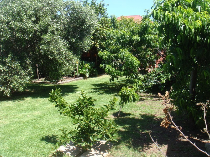 25 Packard Street, North Plympton SA 5037