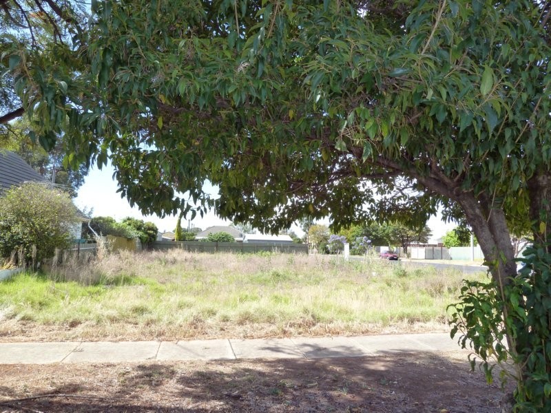 35 Central Avenue, Magill SA 5072