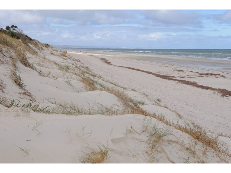 55 (Portion of ) La Perouse Avenue, Flinders Park SA 5025