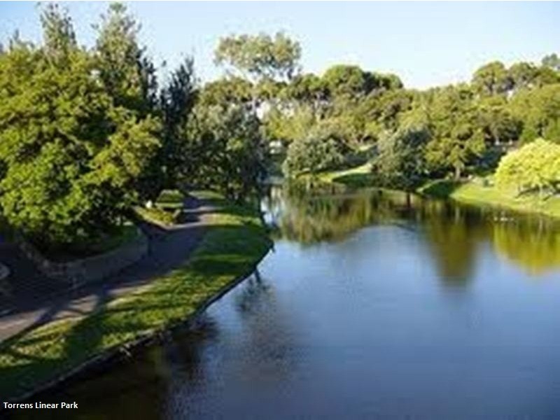 39 & 39A Fulham Park Drive, Lockleys SA 5032