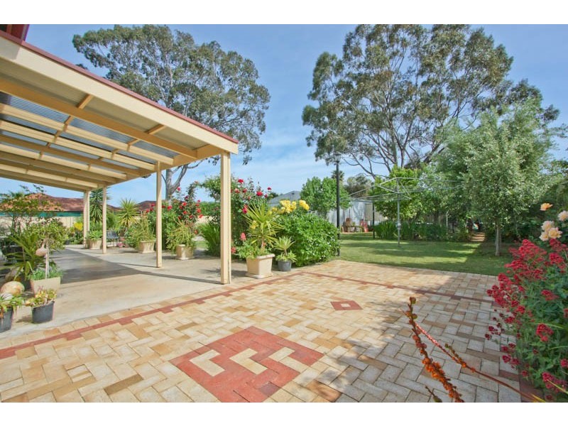 64 Dudley Avenue, Daw Park SA 5041