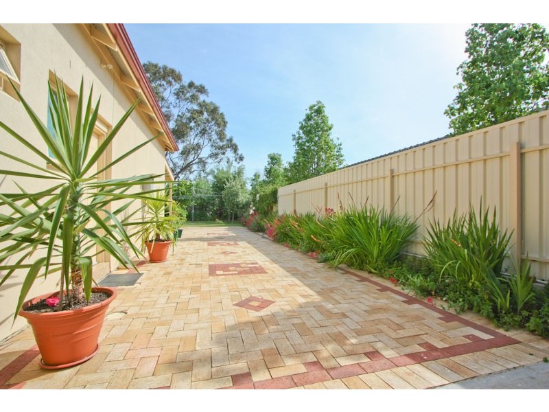 64 Dudley Avenue, Daw Park SA 5041