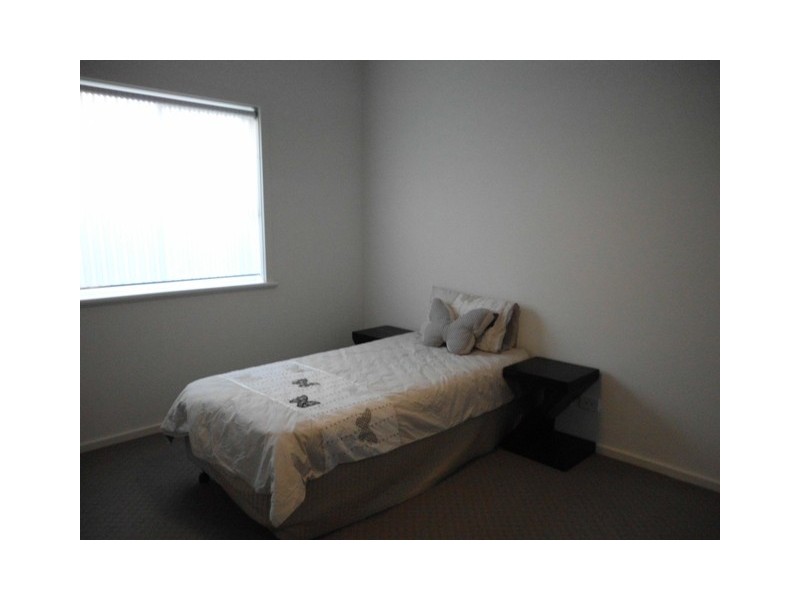 51  Shoalhaven Circuit, Mawson Lakes SA 5095