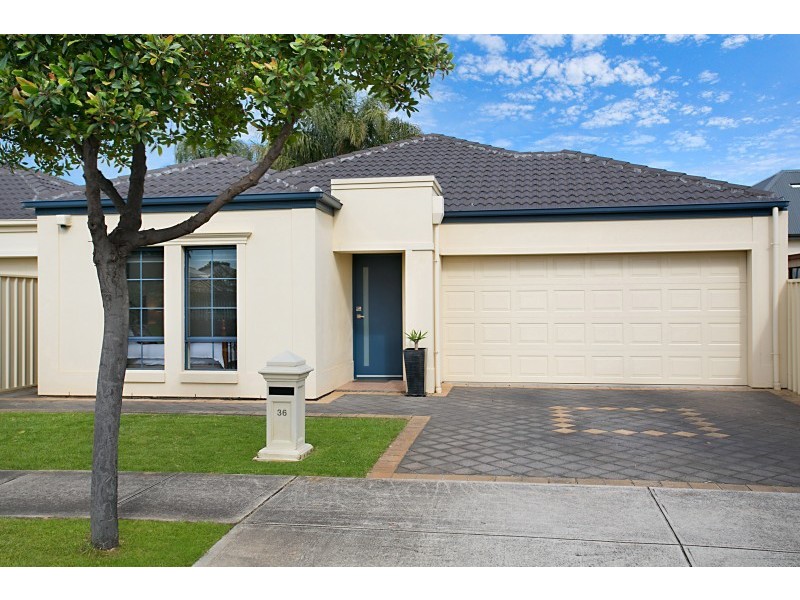36 Selby Street, Kurralta Park SA 5037