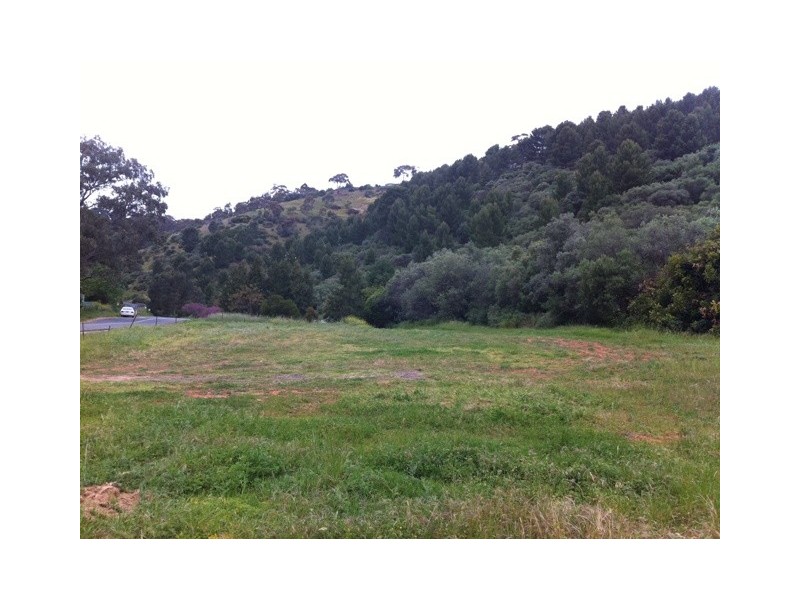 16 Hayward Drive, Glen Osmond SA 5064