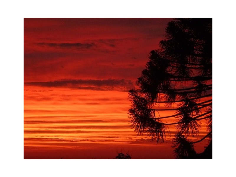 34 Waverley Ridge Road, Crafers West SA 5152