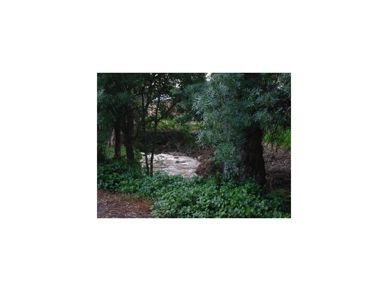 36 Freeman Avenue, Tranmere SA 5073