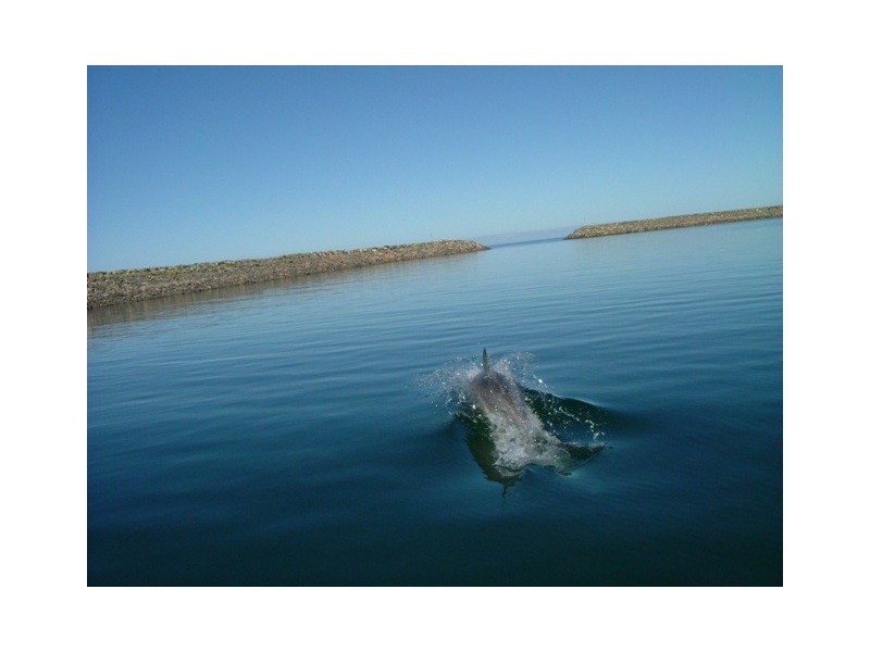 30 Marina Drive, Port Vincent SA 5581