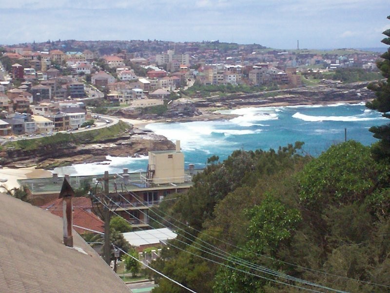 17 Tipper Avenue, Bronte NSW 2024