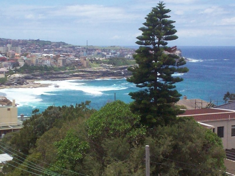 17 Tipper Avenue, Bronte NSW 2024