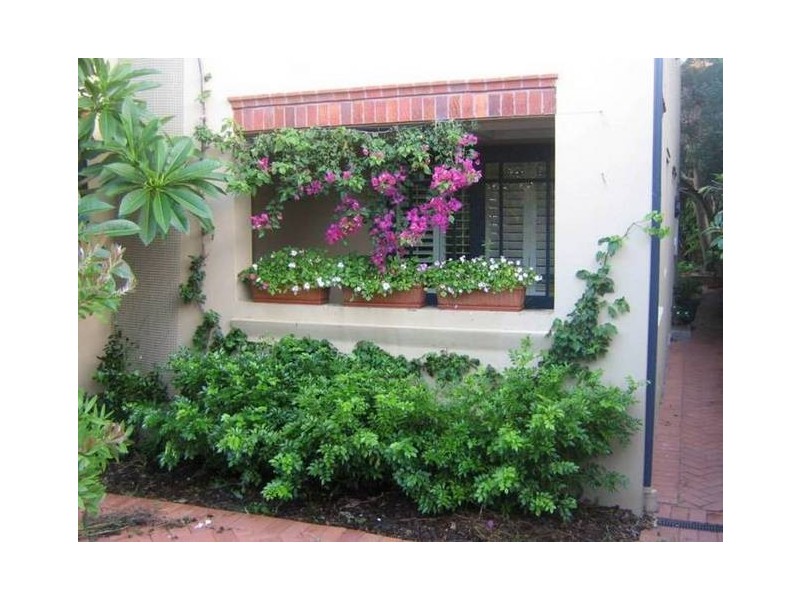 2/151 Macpherson Street, Bronte NSW 2024