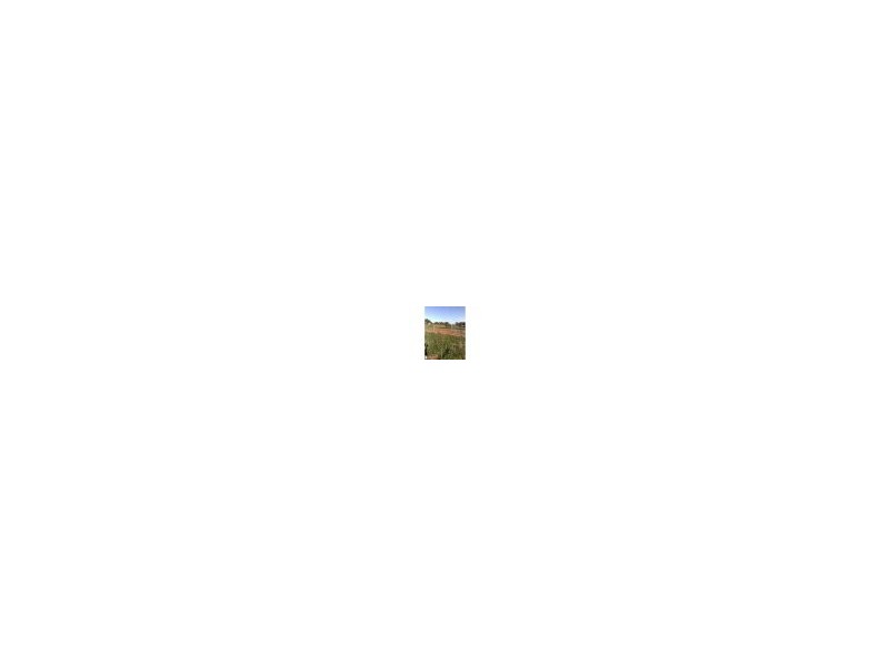 185  Anthony Road, Leppington NSW 2179