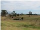 Mount Vernon NSW 2178