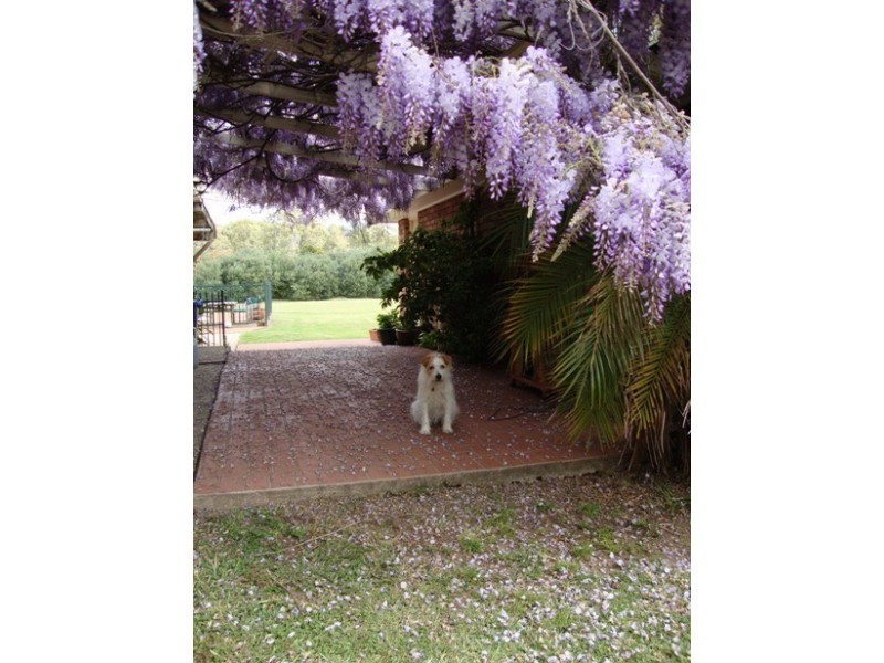 Catherine Field NSW 2557