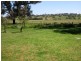 Cawdor NSW 2570