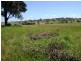 Cawdor NSW 2570