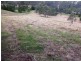 1335 Werombi Road, Werombi NSW 2570