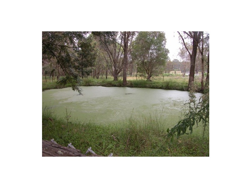 1193 The Northern Road, Bringelly NSW 2556