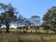 Kirkham NSW 2570