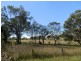 Kirkham NSW 2570