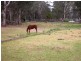 Rossmore NSW 2557