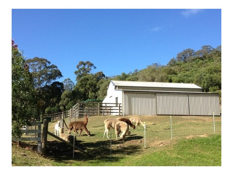 385 Calf Farm Road, Mount Hunter NSW 2570
