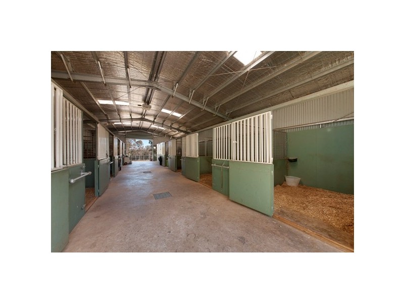 23 Barry Avenue, Catherine Field NSW 2557