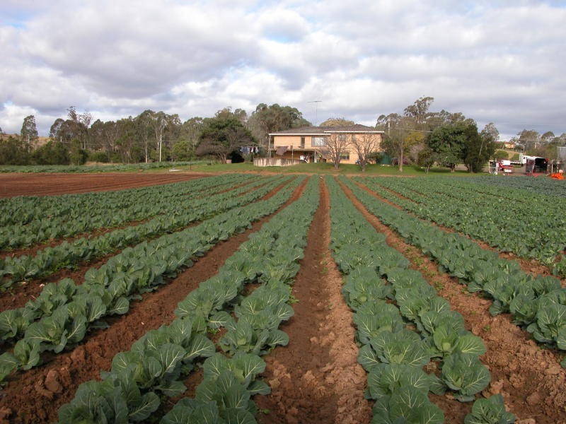 Greendale NSW 2745