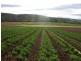 Greendale NSW 2745