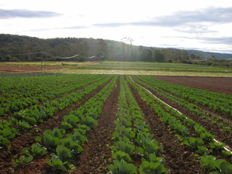 Greendale NSW 2745
