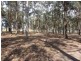 Werombi NSW 2570