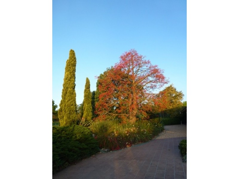 Camden NSW 2570