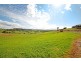 Menangle NSW 2568