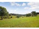 The Oaks NSW 2570
