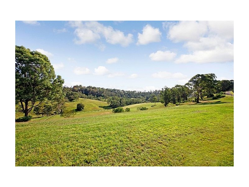 The Oaks NSW 2570