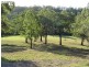 The Oaks NSW 2570