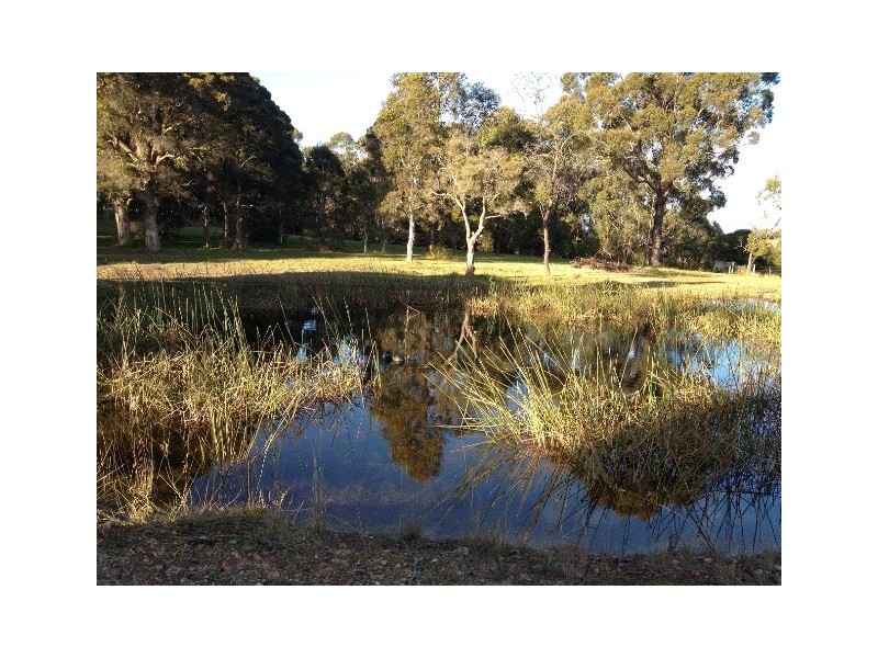 Razorback NSW 2571