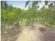 Buxton NSW 2571