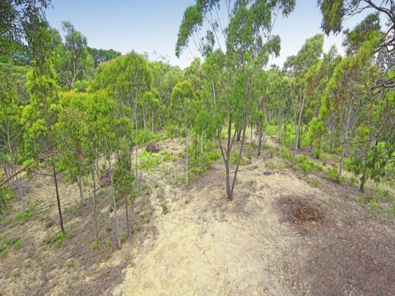 Buxton NSW 2571