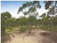 Buxton NSW 2571