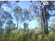 102 Machaness Road, Tara QLD 4421