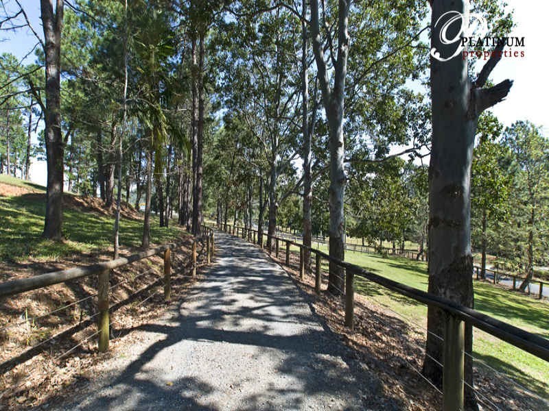 Wongawallan QLD 4210