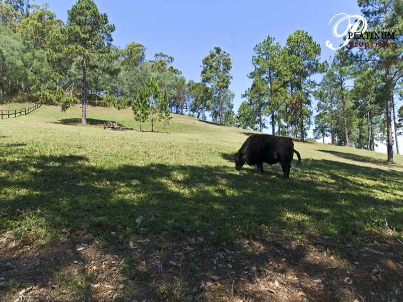 Wongawallan QLD 4210