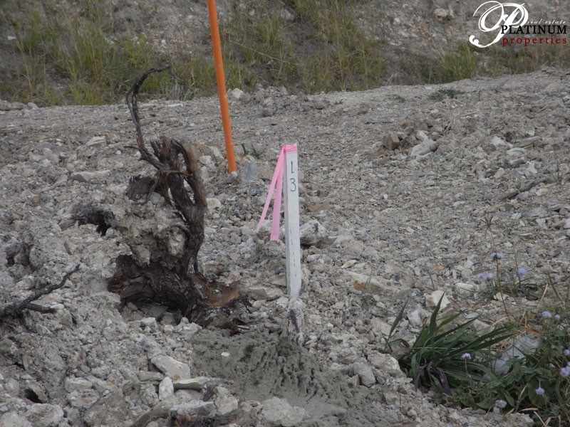 Lot 39 Rifle Range Road, Pimpama QLD 4209