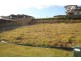54 Diamantina Cct, Pacific Pines QLD 4211