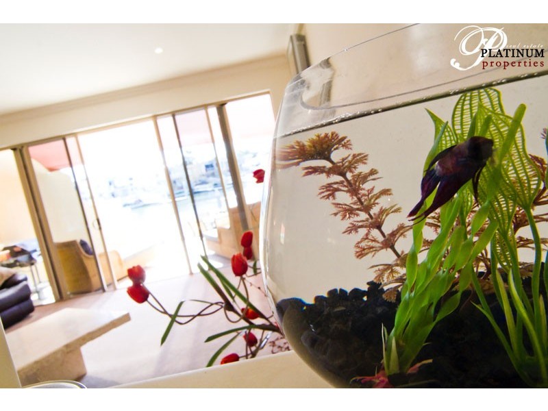 23A Compass Drive, Biggera Waters QLD 4216