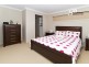 16 Abercrombie Crescent, Upper Coomera QLD 4209