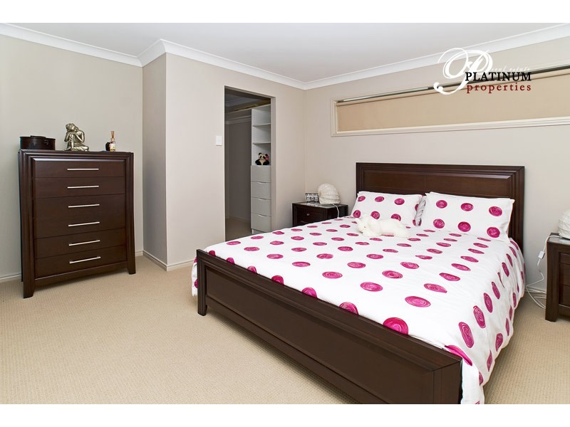 16 Abercrombie Crescent, Upper Coomera QLD 4209