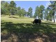 Wongawallan QLD 4210